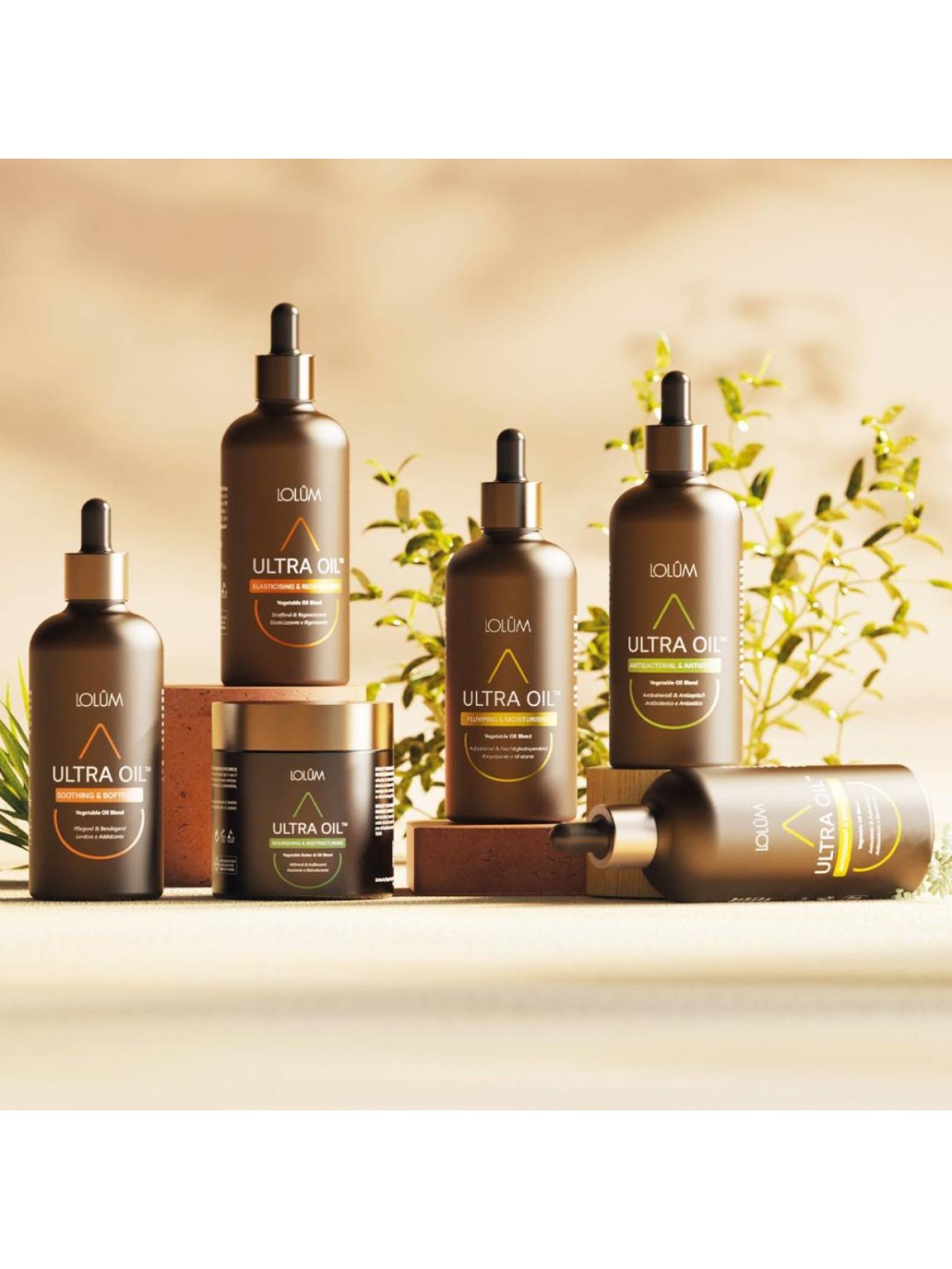 Vegetable Oil Blend Set Lolûm ¦ LS DIFFUSION Shop